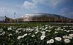 Bluenergy Stadium Udine
