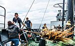 Insieme difendiamo il nostro Mare