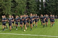 Professionismo arbitrale