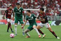 Palmeiras-Flamengo dove vederla
